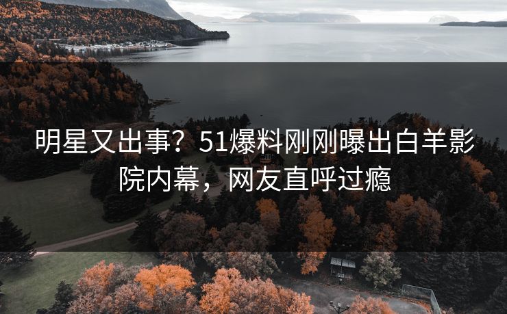 明星又出事？51爆料刚刚曝出白羊影院内幕，网友直呼过瘾