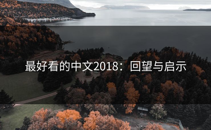 最好看的中文2018：回望与启示